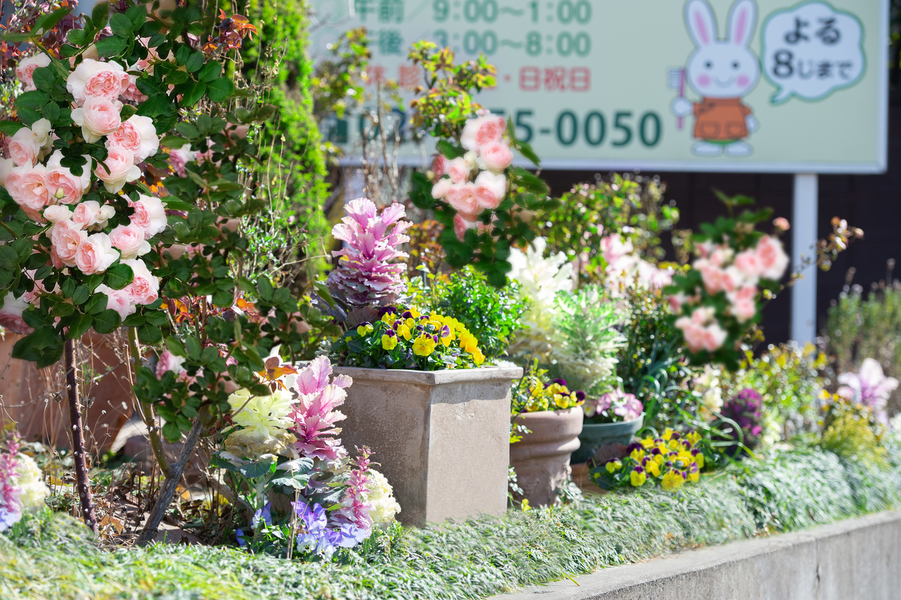 群馬県前橋市元総社町あおなし歯科クリニックの看板